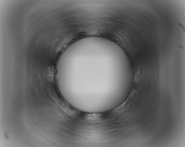 X0000100780179200807101825