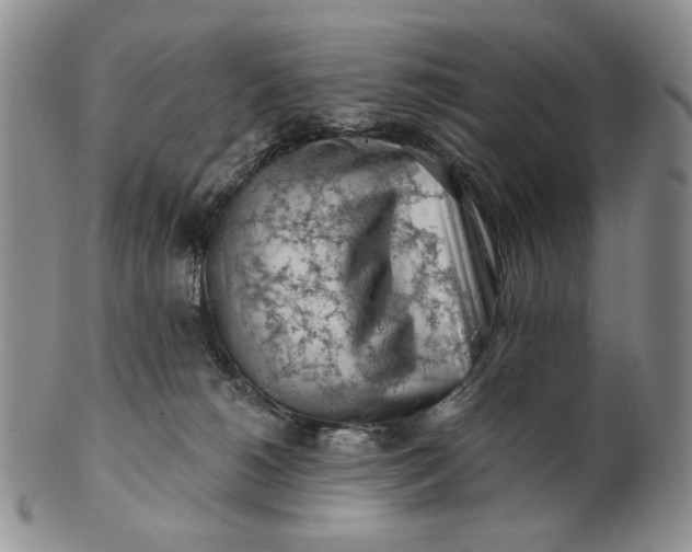 X0000100780180200807101825