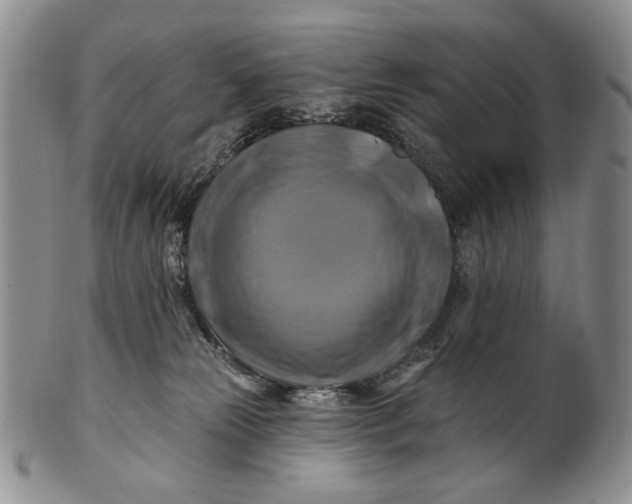 X0000100780181200807101825