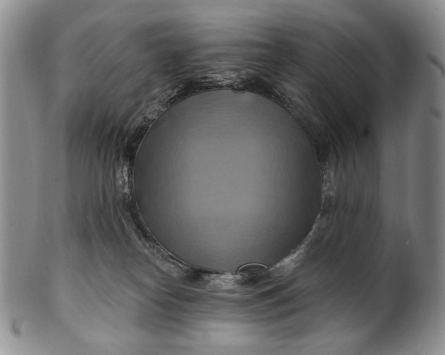 X0000100780182200807101825