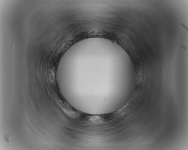 X0000100780183200807101825