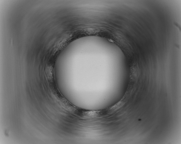 X0000100780184200807101825
