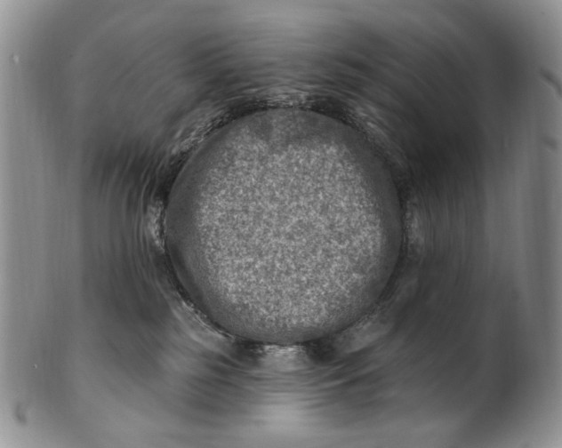 X0000100780185200807101825