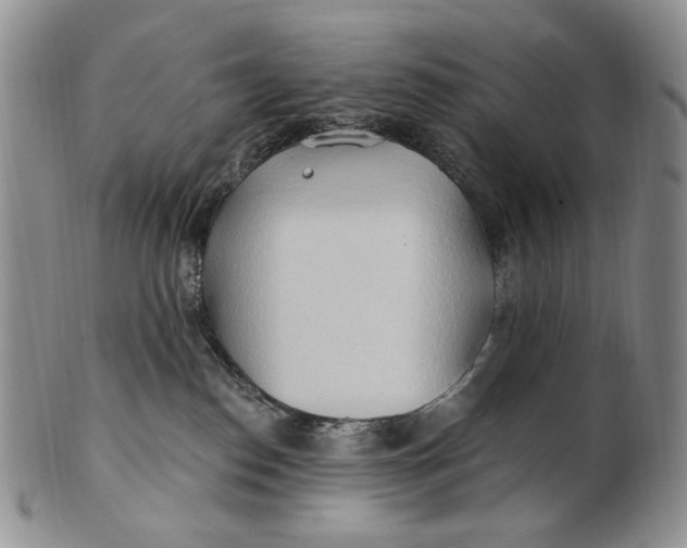 X0000100780186200807101825