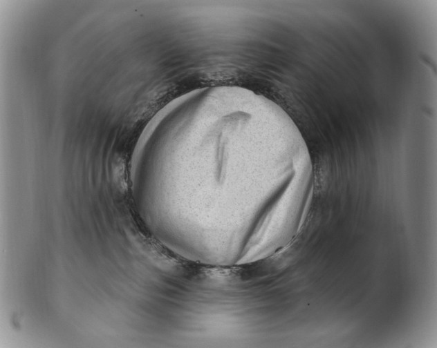 X0000100780187200807101825