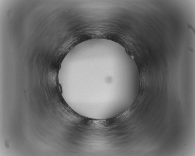 X0000100780188200807101825
