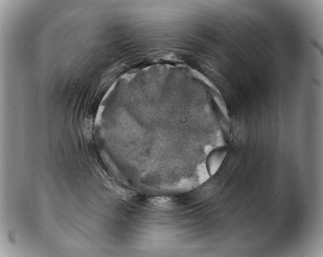 X0000100780189200807101825
