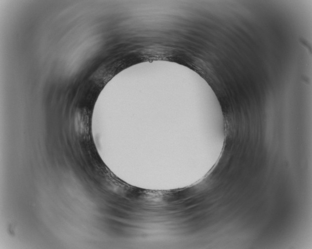X0000100780190200807101825