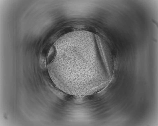 X0000100780191200807101825