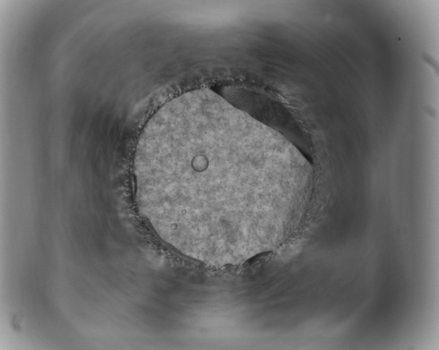 X0000100780192200807101825