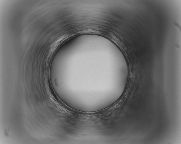 X0000100780193200807101824