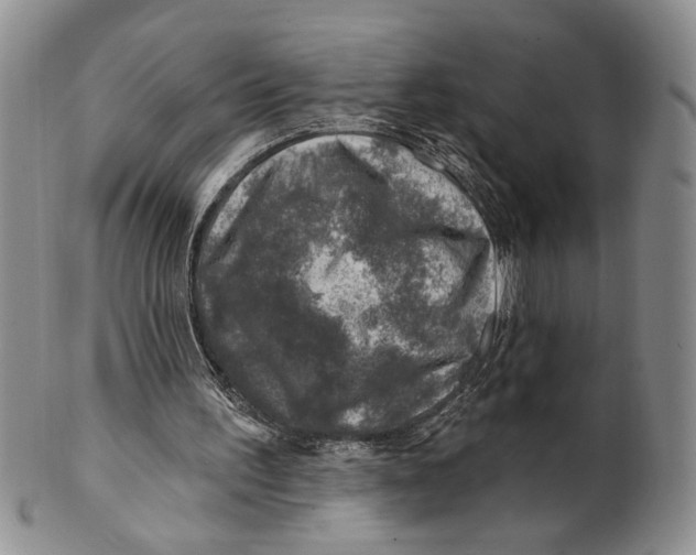 X0000100780195200807101824