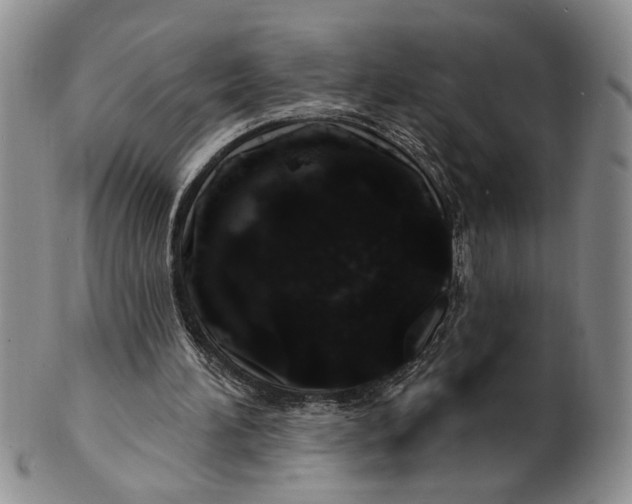 X0000100780196200807101824