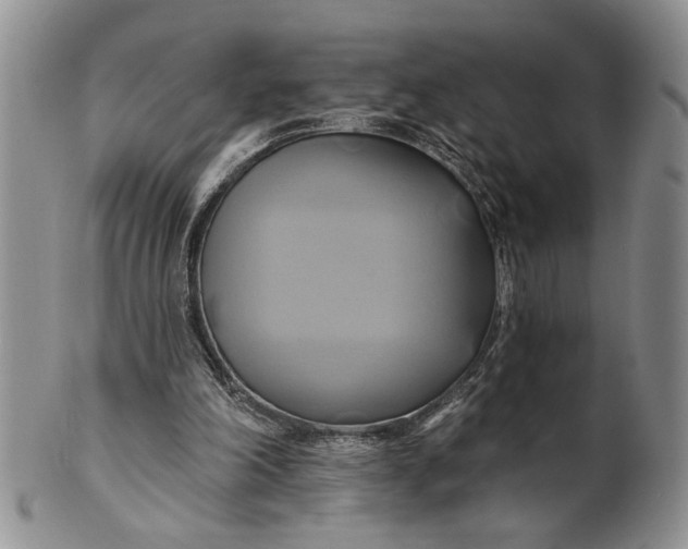 X0000100780198200807101824
