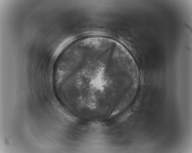 X0000100780199200807101824