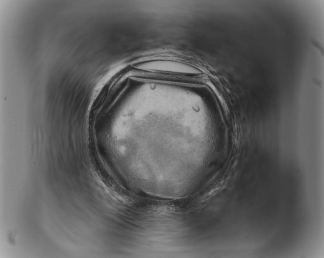 X0000100780200200807101824
