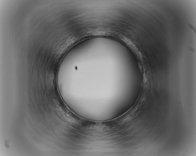 X0000100780201200807101824
