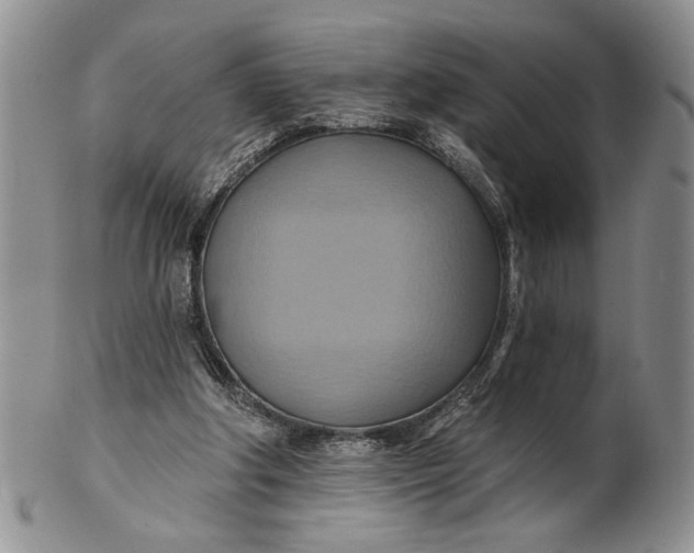 X0000100780202200807101824