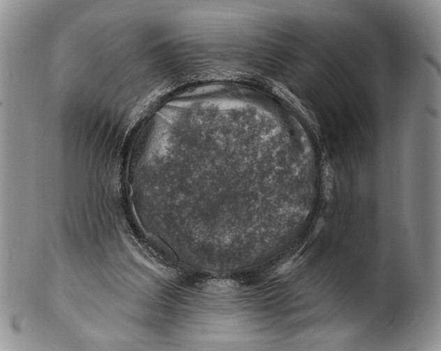 X0000100780203200807101824
