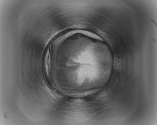 X0000100780204200807101824