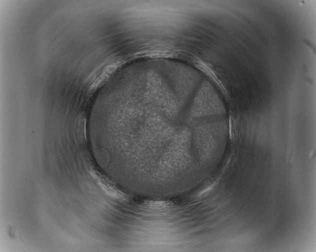 X0000100780205200807101824