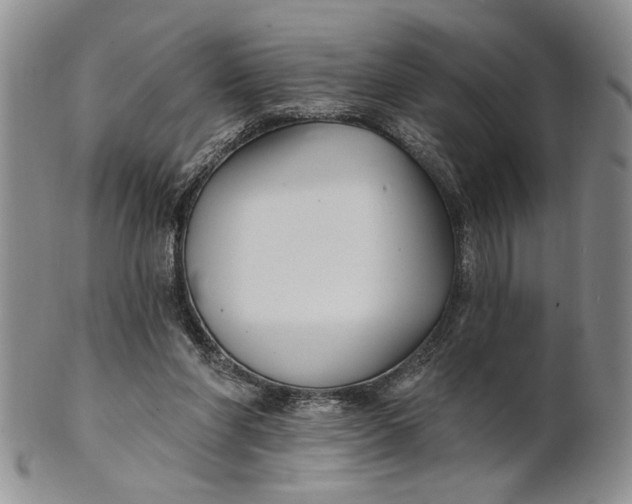 X0000100780206200807101824