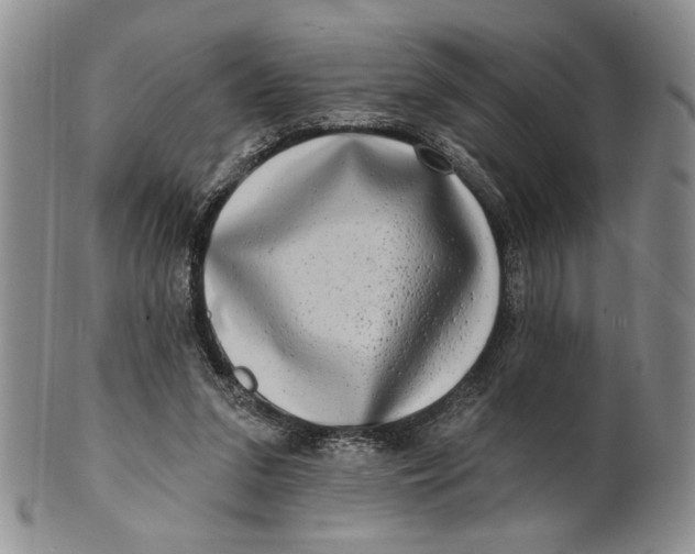 X0000100780207200807101824