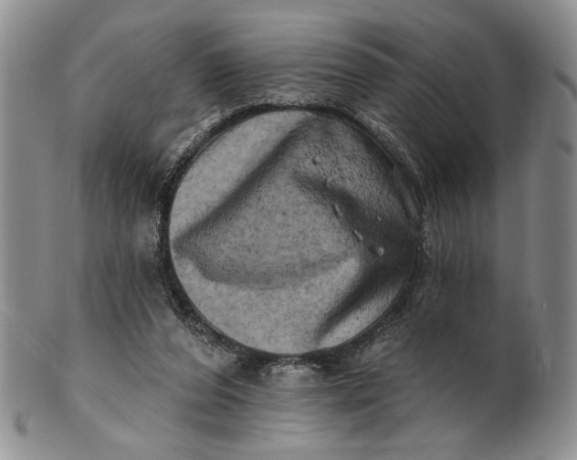 X0000100780208200807101824