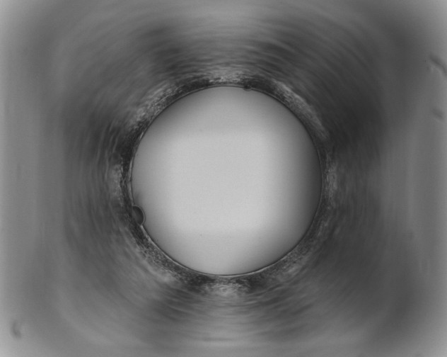 X0000100780209200807101824