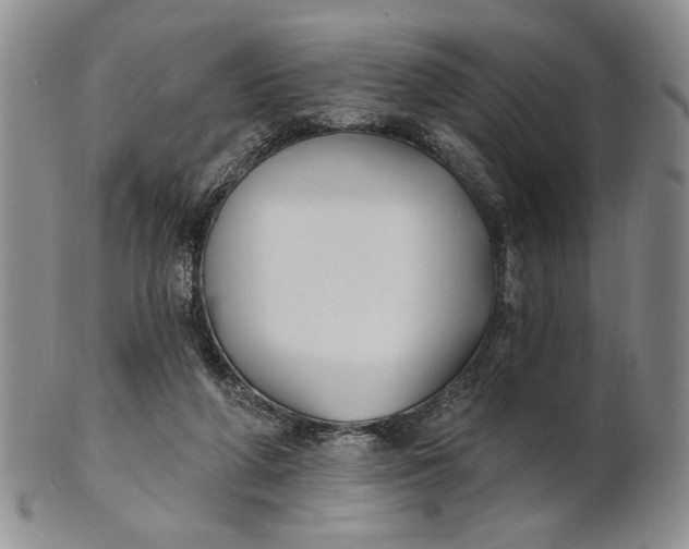 X0000100780210200807101824