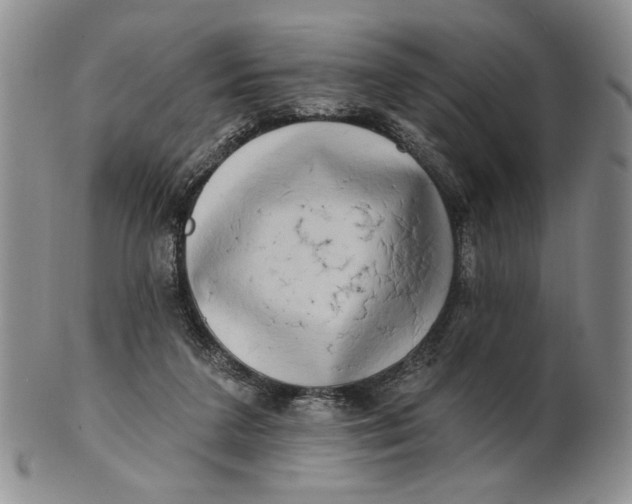 X0000100780211200807101824
