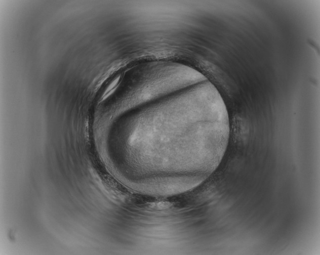 X0000100780212200807101824