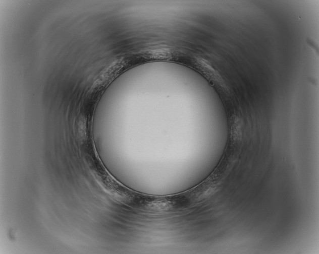 X0000100780213200807101824