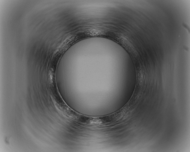 X0000100780214200807101824