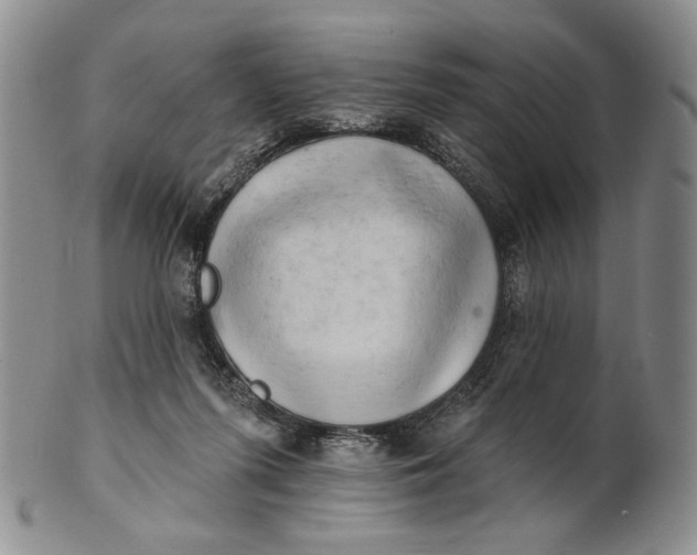 X0000100780215200807101824