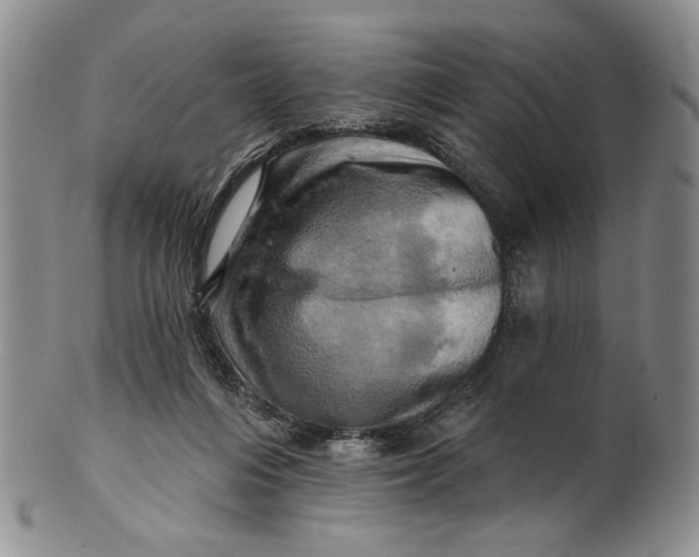 X0000100780216200807101824