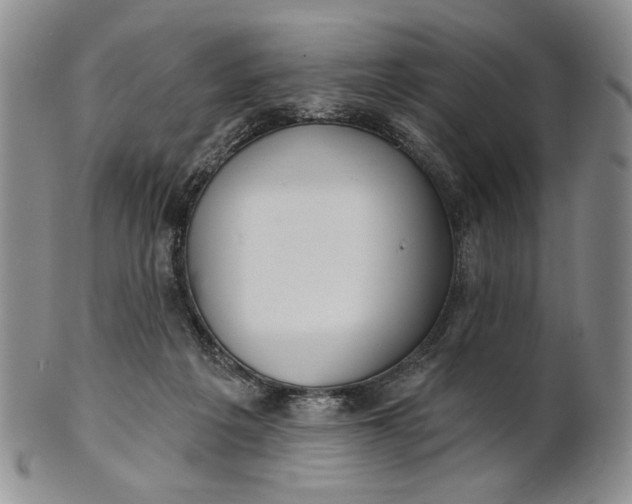X0000100780217200807101824