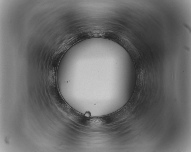 X0000100780218200807101824