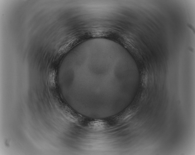X0000100780219200807101824