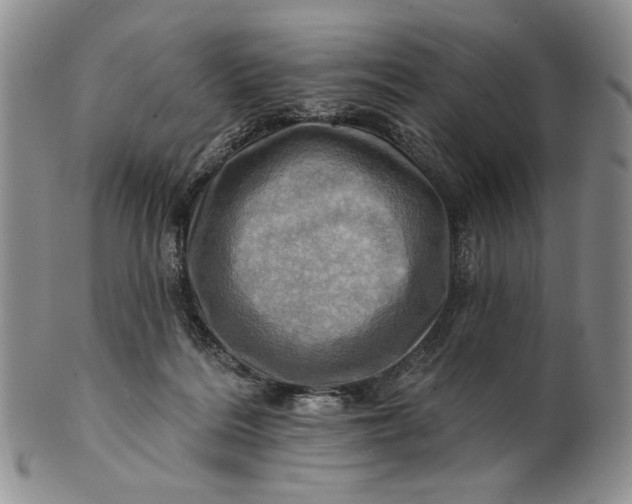 X0000100780220200807101824