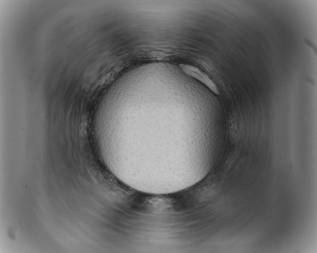 X0000100780221200807101824