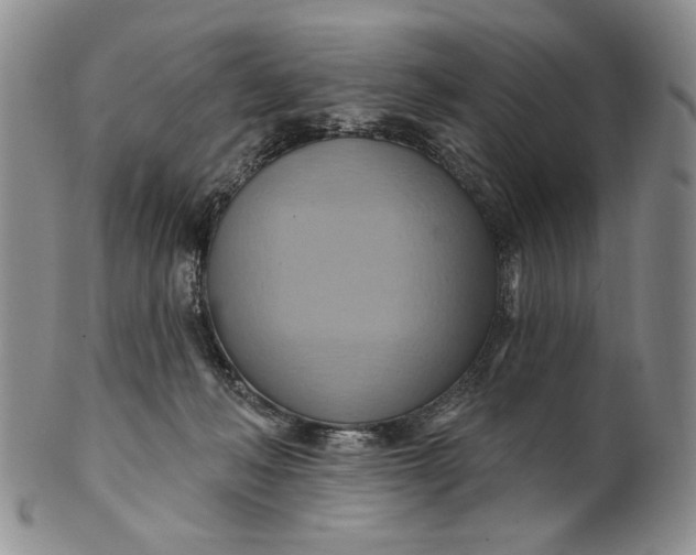 X0000100780222200807101824