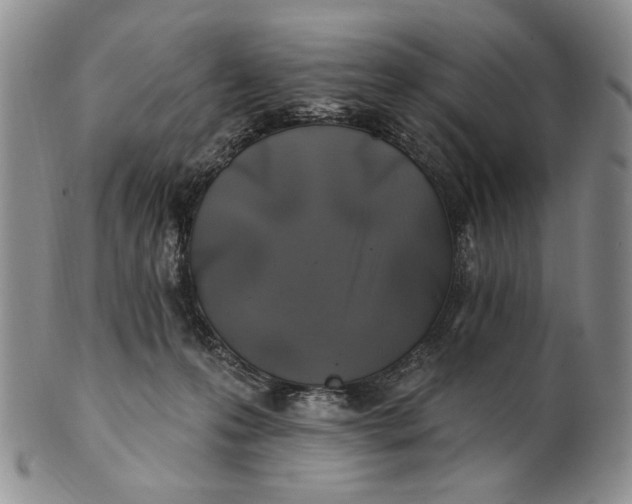 X0000100780223200807101824