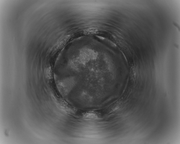 X0000100780224200807101824