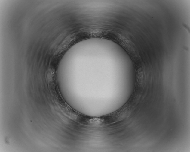 X0000100780225200807101824