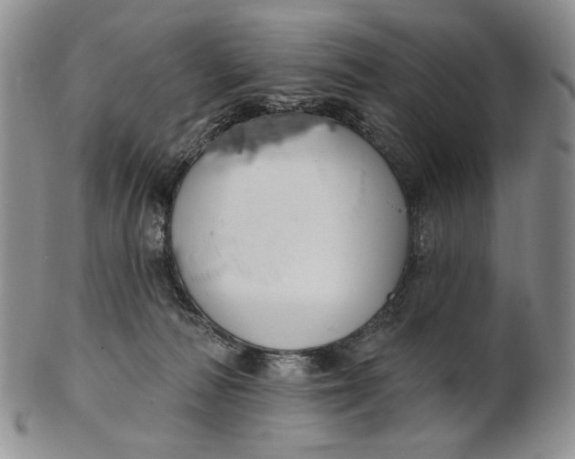 X0000100780226200807101824