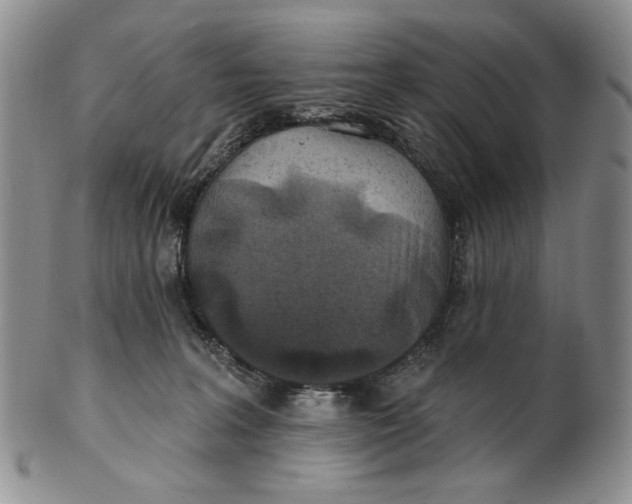 X0000100780227200807101824