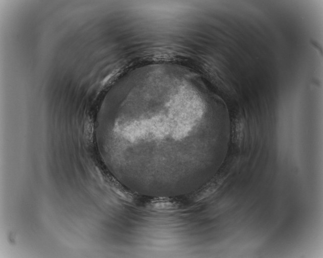X0000100780228200807101824