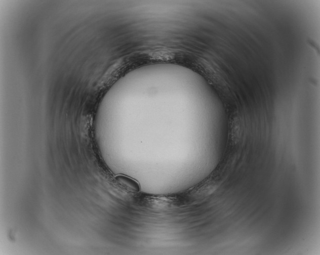 X0000100780229200807101824