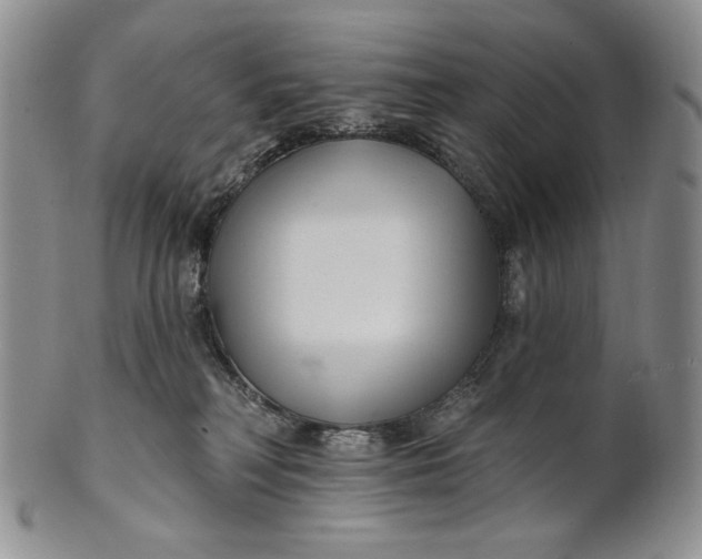 X0000100780230200807101824